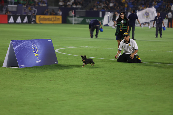 09122026_LAGalaxyvsSeattle_GA_04614