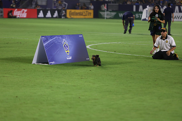 09122026_LAGalaxyvsSeattle_GA_04620