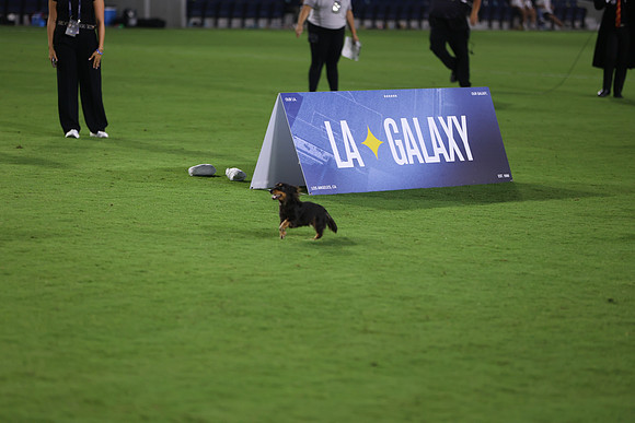09122026_LAGalaxyvsSeattle_GA_04630