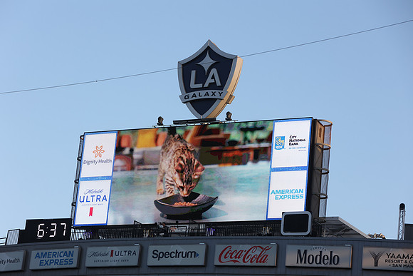 09122026_LAGalaxyvsSeattle_GA_07174
