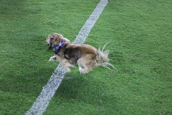 09122026_LAGalaxyvsSeattle_GA_04642