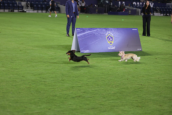 09122026_LAGalaxyvsSeattle_GA_04637