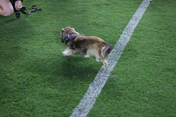 09122026_LAGalaxyvsSeattle_GA_04646