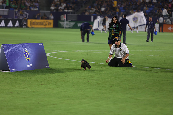 09122026_LAGalaxyvsSeattle_GA_04612
