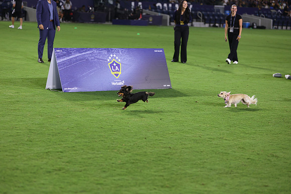 09122026_LAGalaxyvsSeattle_GA_04633