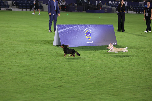09122026_LAGalaxyvsSeattle_GA_04636
