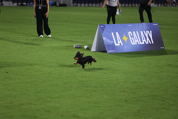09122026_LAGalaxyvsSeattle_GA_04632