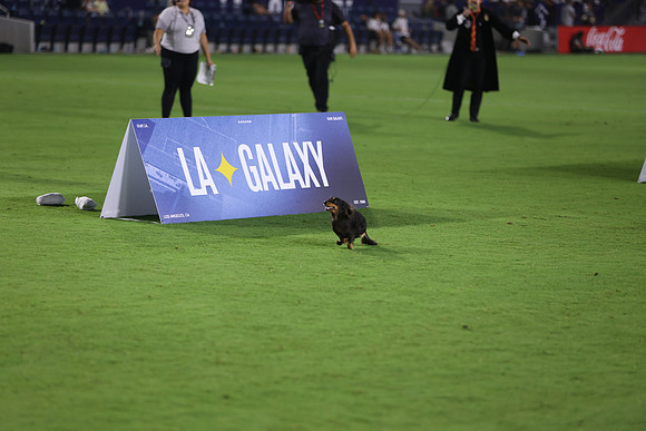 09122026_LAGalaxyvsSeattle_GA_04624