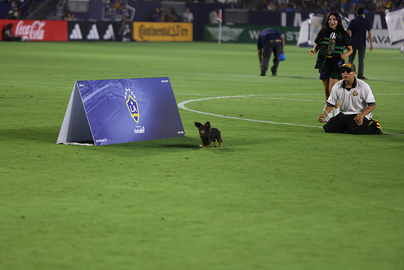 09122026_LAGalaxyvsSeattle_GA_04619