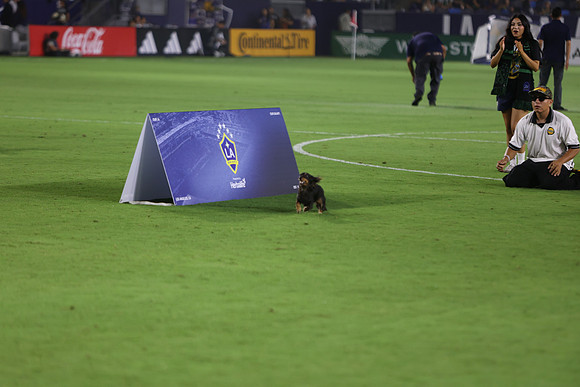 09122026_LAGalaxyvsSeattle_GA_04621