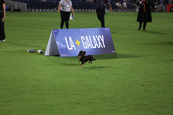 09122026_LAGalaxyvsSeattle_GA_04627