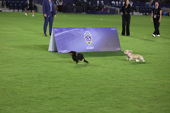 09122026_LAGalaxyvsSeattle_GA_04635