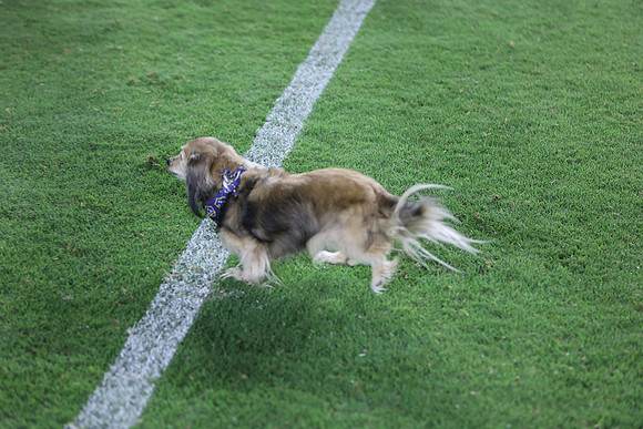 09122026_LAGalaxyvsSeattle_GA_04641