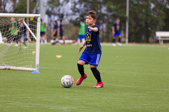070622_LA_GALAXY_MO_0089