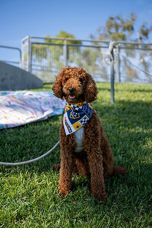 091023_LA_GALAXY_JR_0002