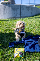 091023_LA_GALAXY_JR_0005