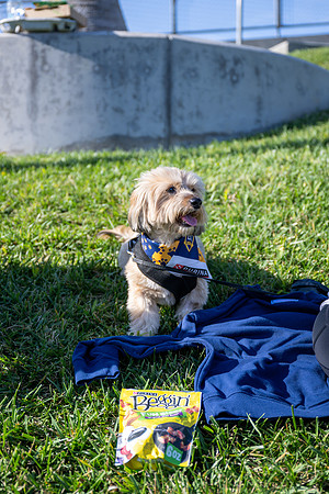 091023_LA_GALAXY_JR_0005