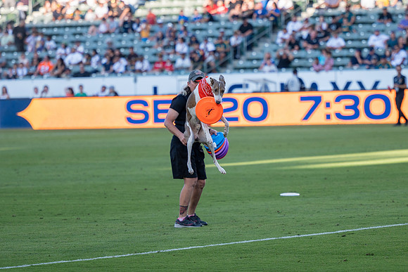 091023_LA_GALAXY_JR_0047
