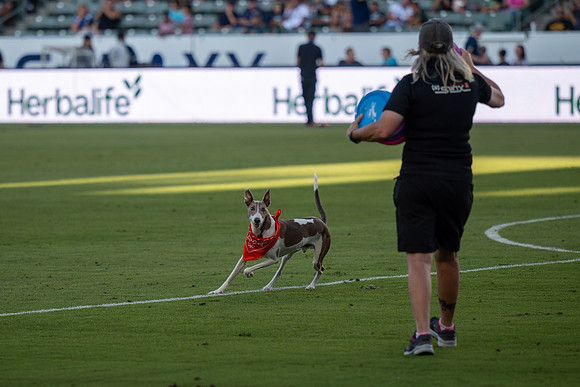 091023_LA_GALAXY_JR_0045