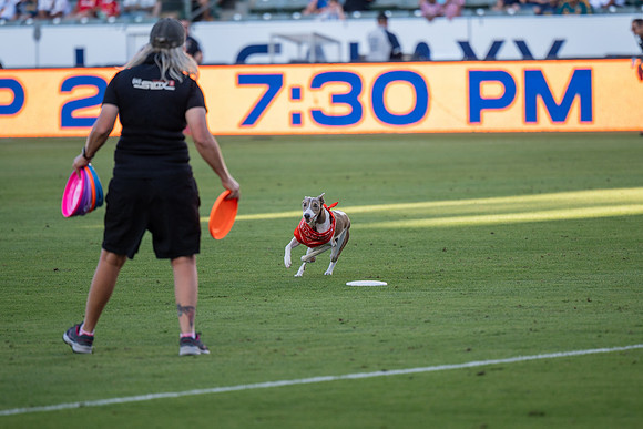 091023_LA_GALAXY_JR_0046