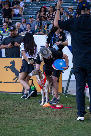 091023_LA_GALAXY_JR_0043