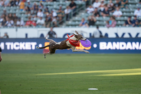 091023_LA_GALAXY_JR_0049