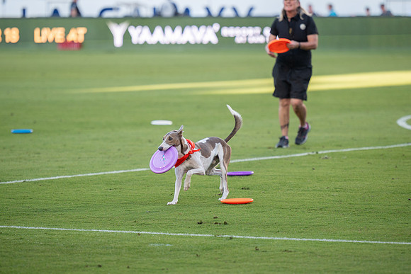 091023_LA_GALAXY_JR_0051