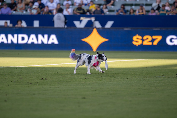 091023_LA_GALAXY_JR_0056