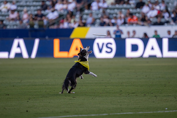 091023_LA_GALAXY_JR_0055