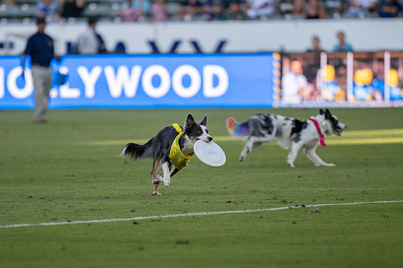 091023_LA_GALAXY_JR_0058