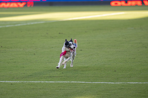 091023_LA_GALAXY_JR_0060