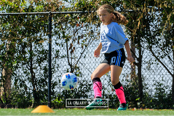 061118_LA_GALAXY_RM_0017