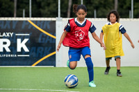 080724_LA_GALAXY_SR_0011