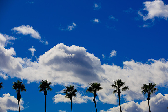 020824_LA_GALAXY_RM_0024