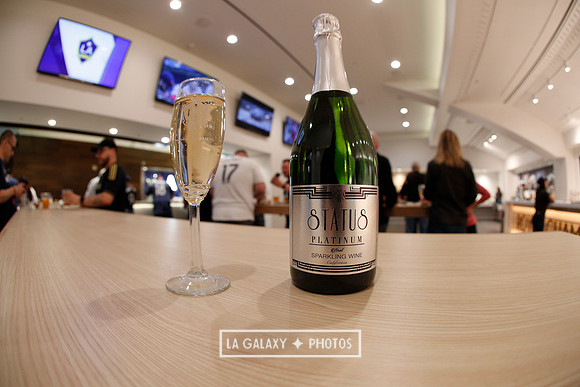 03.31.2019_LAGalaxyvsPortland_GA0071
