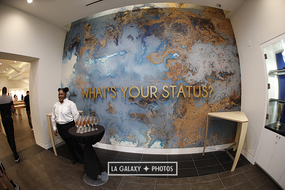 03.31.2019_LAGalaxyvsPortland_GA0004