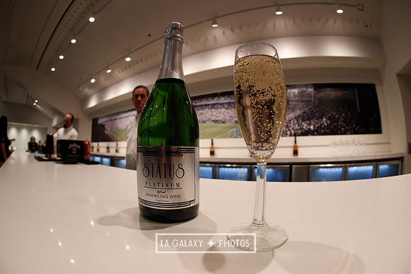 03.31.2019_LAGalaxyvsPortland_GA0029