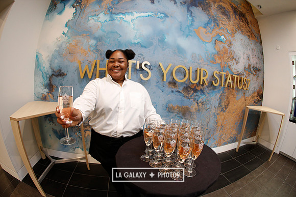 03.31.2019_LAGalaxyvsPortland_GA0162