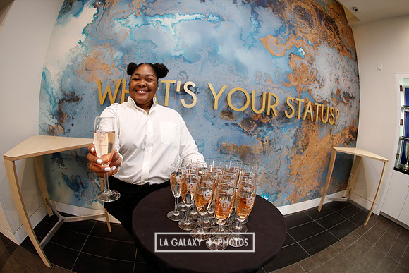 03.31.2019_LAGalaxyvsPortland_GA0155