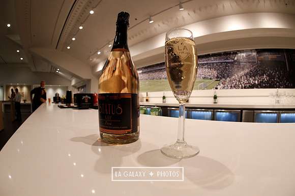 03.31.2019_LAGalaxyvsPortland_GA0101