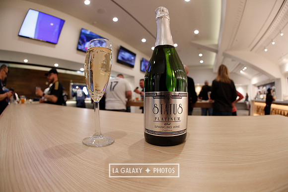 03.31.2019_LAGalaxyvsPortland_GA0073