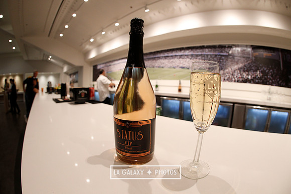 03.31.2019_LAGalaxyvsPortland_GA0109