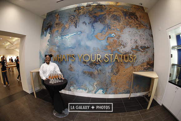 03.31.2019_LAGalaxyvsPortland_GA0010