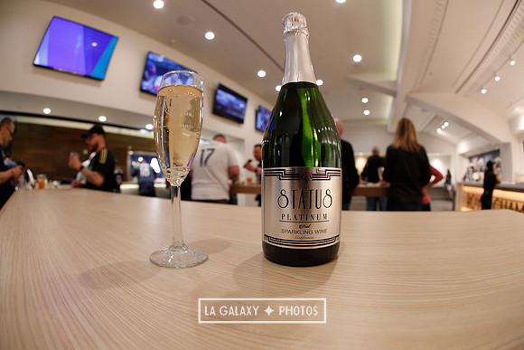 03.31.2019_LAGalaxyvsPortland_GA0074
