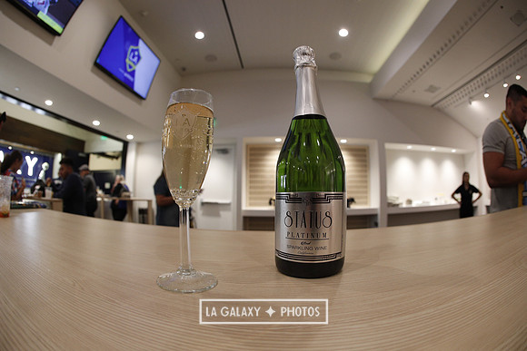 03.31.2019_LAGalaxyvsPortland_GA0042