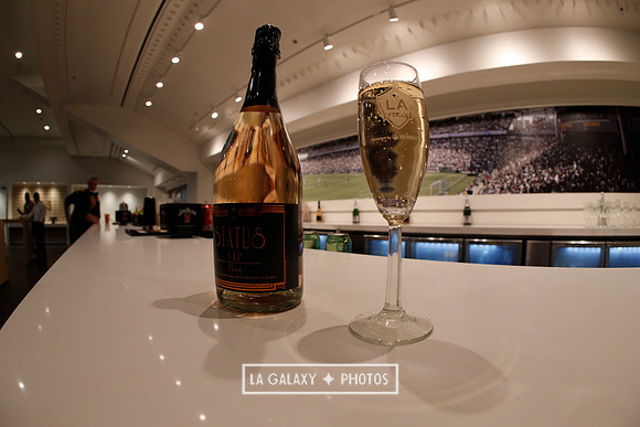 03.31.2019_LAGalaxyvsPortland_GA0098