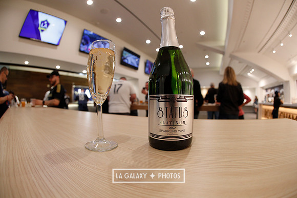 03.31.2019_LAGalaxyvsPortland_GA0069