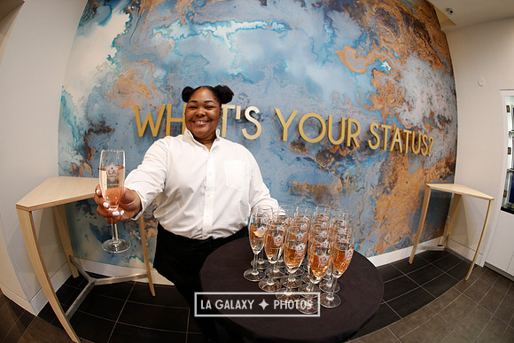 03.31.2019_LAGalaxyvsPortland_GA0161