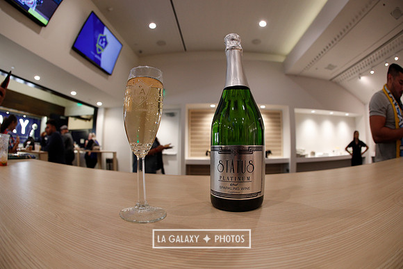 03.31.2019_LAGalaxyvsPortland_GA0044