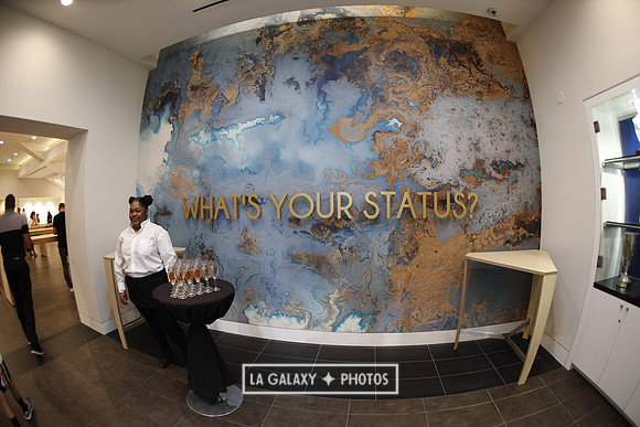 03.31.2019_LAGalaxyvsPortland_GA0005